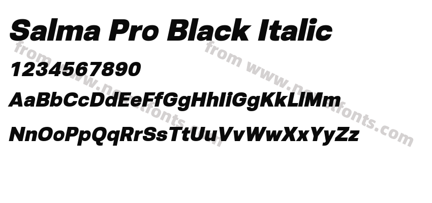 Salma Pro Black ItalicPreview
