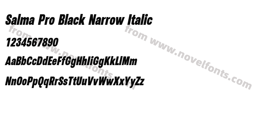 Salma Pro Black Narrow ItalicPreview