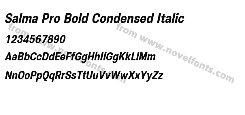 Salma Pro Bold Condensed ItalicPreview