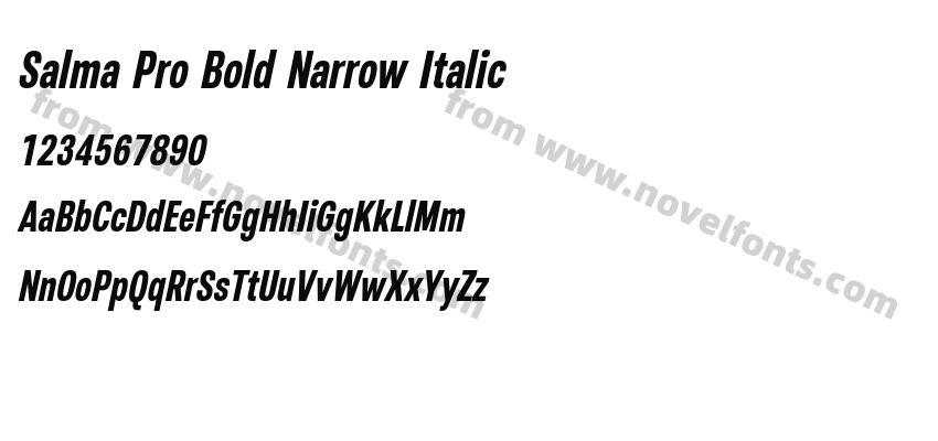 Salma Pro Bold Narrow ItalicPreview