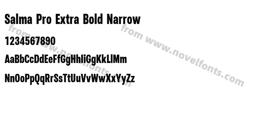 Salma Pro Extra Bold NarrowPreview