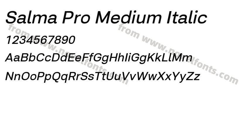 Salma Pro Medium ItalicPreview