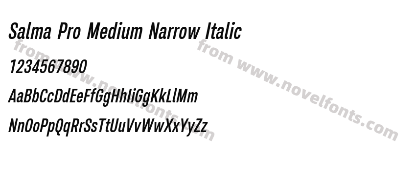 Salma Pro Medium Narrow ItalicPreview