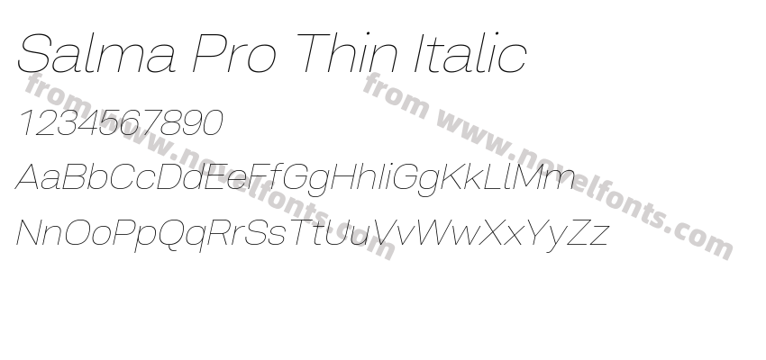 Salma Pro Thin ItalicPreview