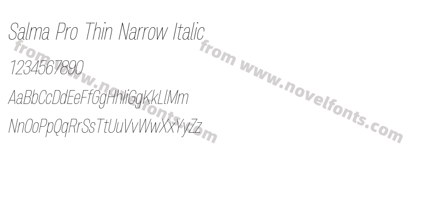 Salma Pro Thin Narrow ItalicPreview