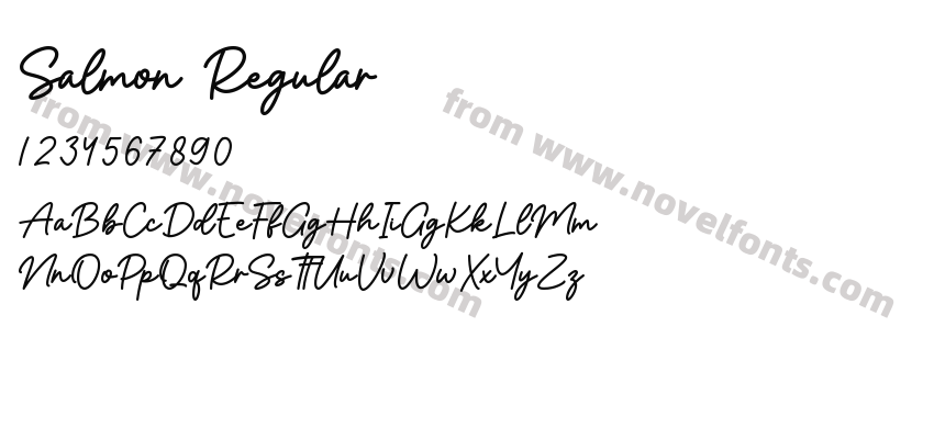 Salmon RegularPreview