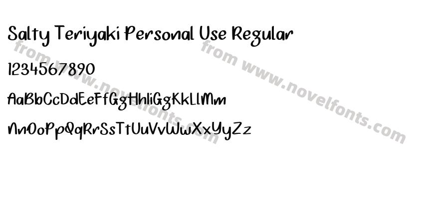 Salty Teriyaki Personal Use RegularPreview