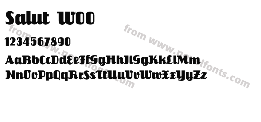 Salut W00Preview