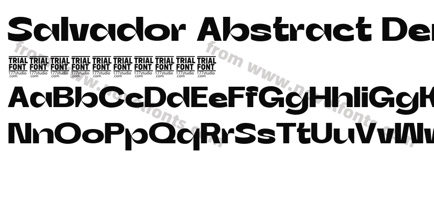 Salvador Abstract Demo BoldPreview