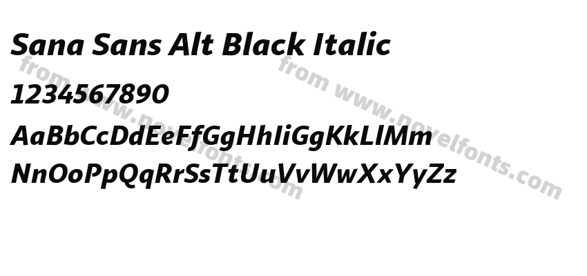 Sana Sans Alt Black ItalicPreview