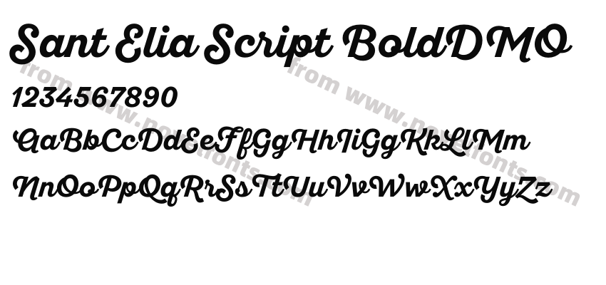 Sant Elia Script BoldDMOPreview