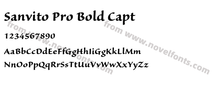 Sanvito Pro Bold CaptPreview