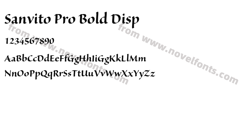 Sanvito Pro Bold DispPreview