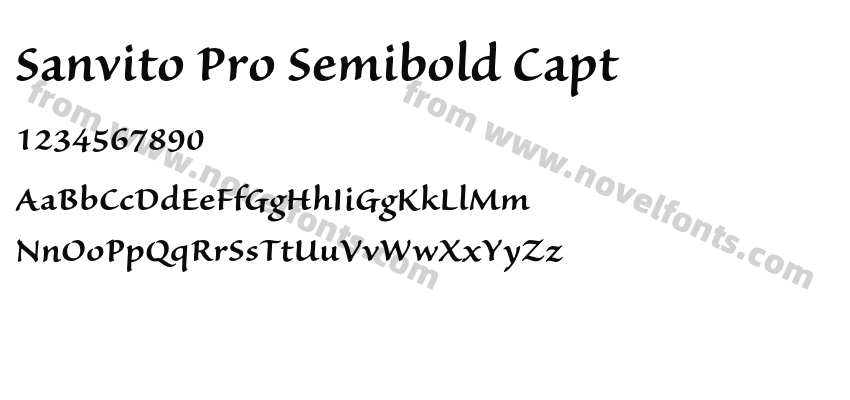 Sanvito Pro Semibold CaptPreview