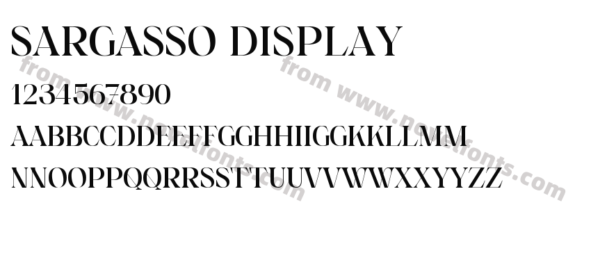 Sargasso DisplayPreview