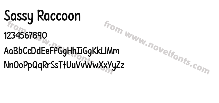 Sassy RaccoonPreview