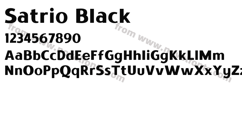 Satrio BlackPreview