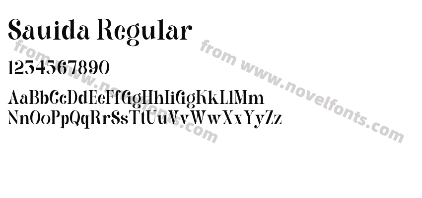 Sauida RegularPreview