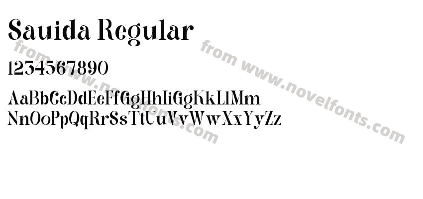 Sauida RegularPreview