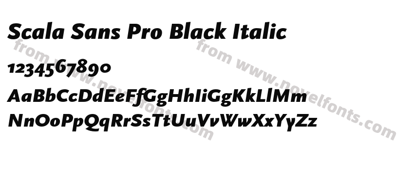 Scala Sans Pro Black ItalicPreview