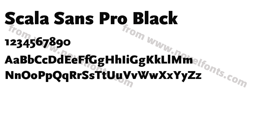 Scala Sans Pro BlackPreview