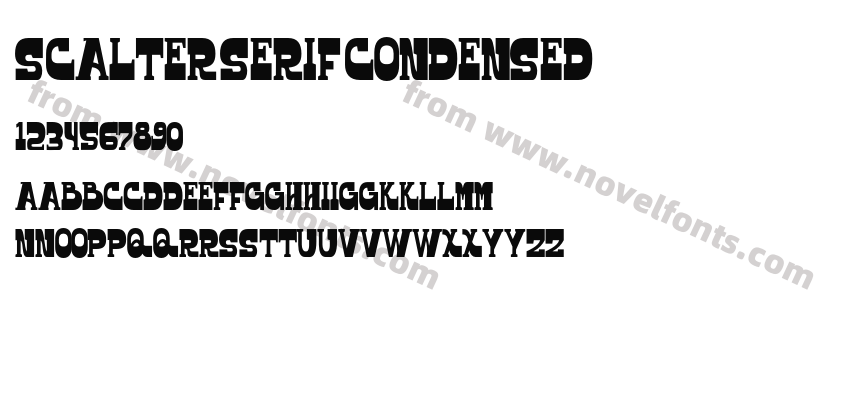 Scalter Serif CondensedPreview