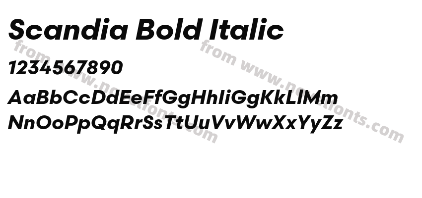 Scandia Bold ItalicPreview