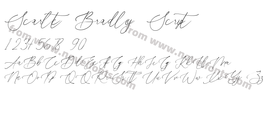 Scarlet Bradley ScriptPreview