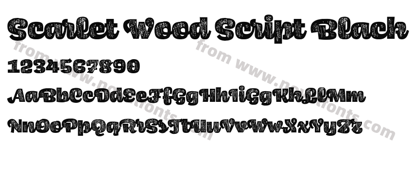 Scarlet Wood Script BlackPreview