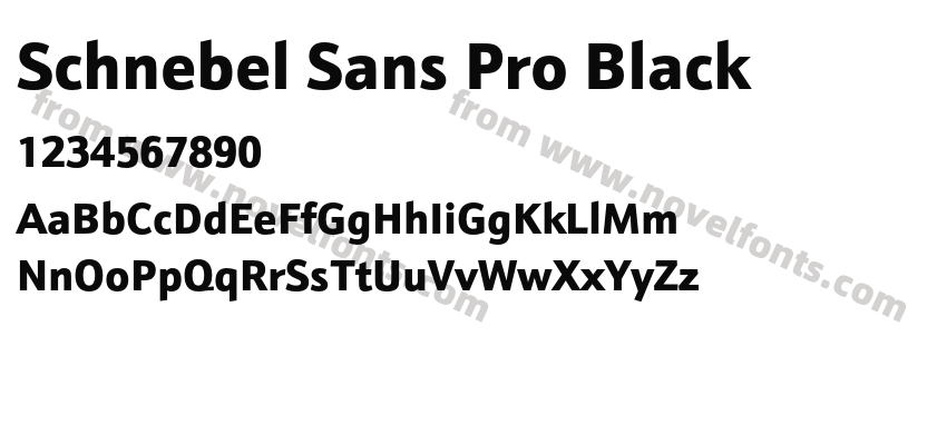 Schnebel Sans Pro BlackPreview