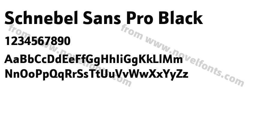 Schnebel Sans Pro BlackPreview