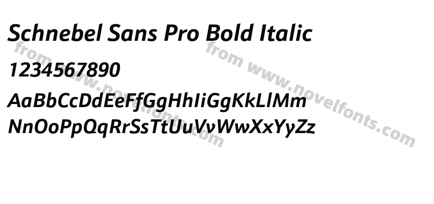 Schnebel Sans Pro Bold ItalicPreview