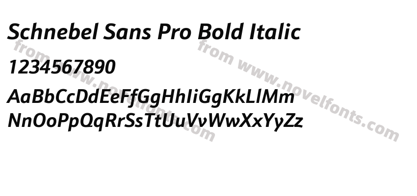Schnebel Sans Pro Bold ItalicPreview