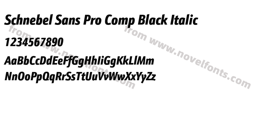 Schnebel Sans Pro Comp Black ItalicPreview