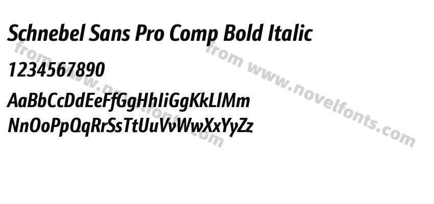 Schnebel Sans Pro Comp Bold ItalicPreview