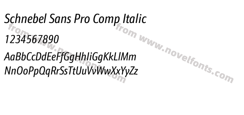 Schnebel Sans Pro Comp ItalicPreview