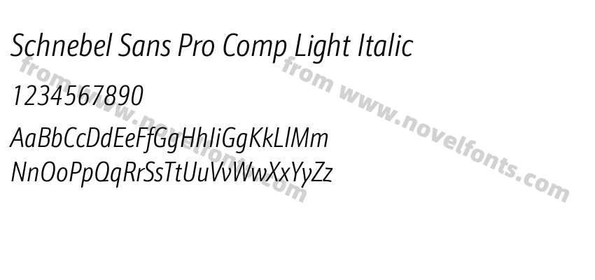 Schnebel Sans Pro Comp Light ItalicPreview