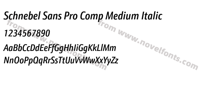 Schnebel Sans Pro Comp Medium ItalicPreview