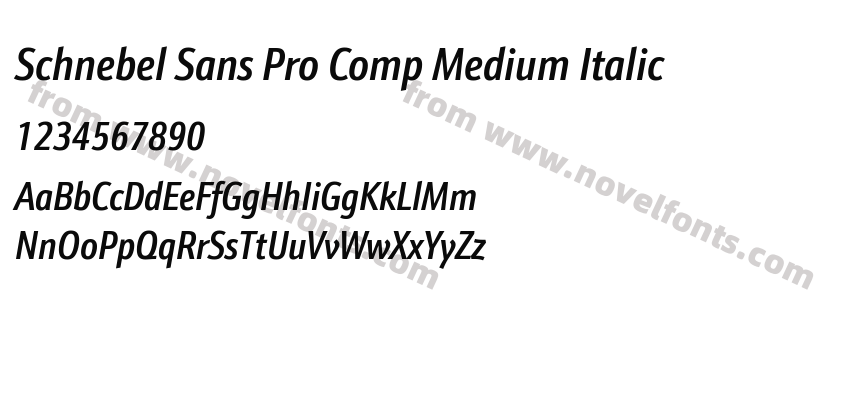 Schnebel Sans Pro Comp Medium ItalicPreview