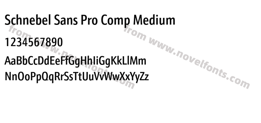 Schnebel Sans Pro Comp MediumPreview