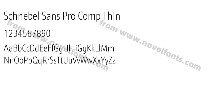 Schnebel Sans Pro Comp ThinPreview