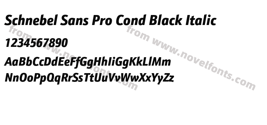 Schnebel Sans Pro Cond Black ItalicPreview