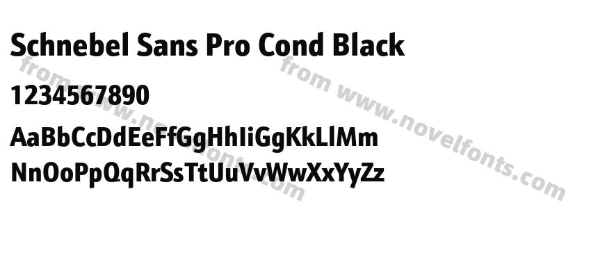 Schnebel Sans Pro Cond BlackPreview
