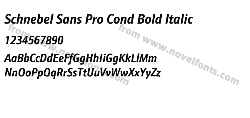 Schnebel Sans Pro Cond Bold ItalicPreview