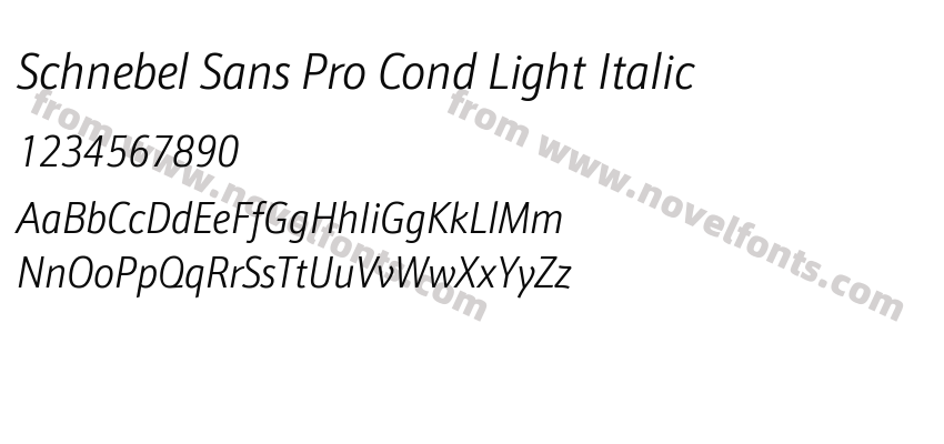 Schnebel Sans Pro Cond Light ItalicPreview
