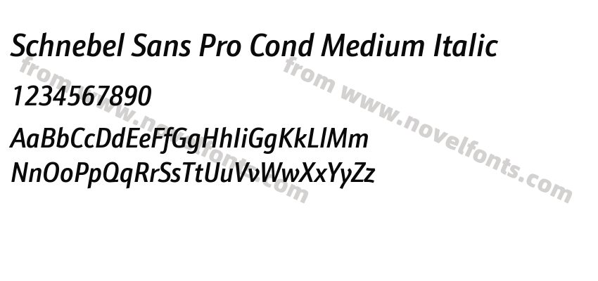 Schnebel Sans Pro Cond Medium ItalicPreview