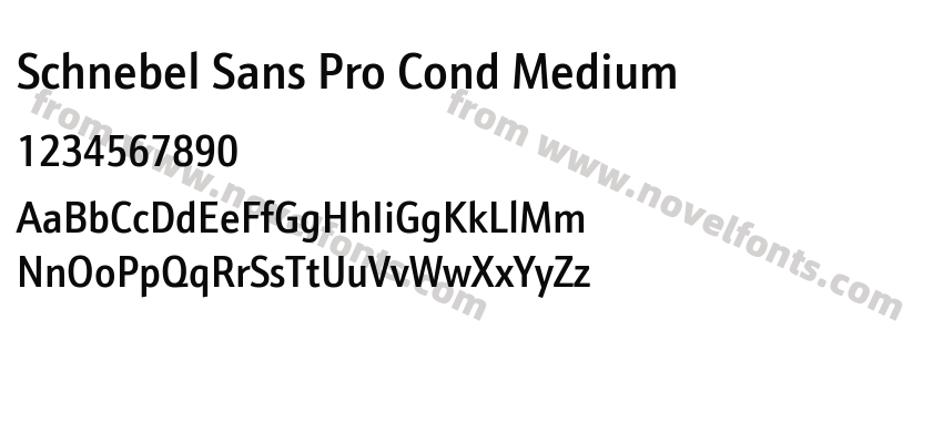 Schnebel Sans Pro Cond MediumPreview