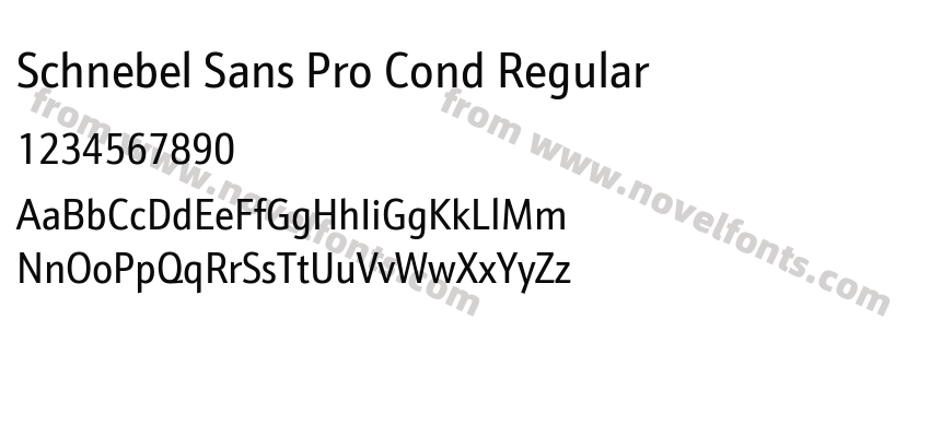 Schnebel Sans Pro Cond RegularPreview