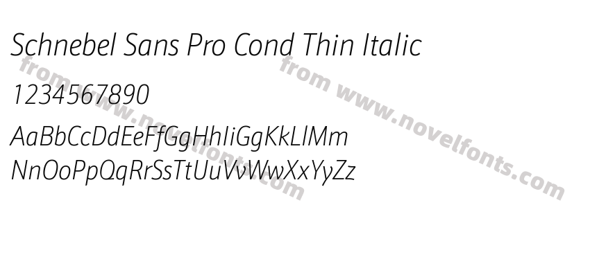 Schnebel Sans Pro Cond Thin ItalicPreview