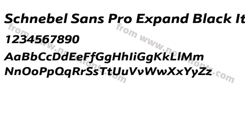 Schnebel Sans Pro Expand Black ItalicPreview